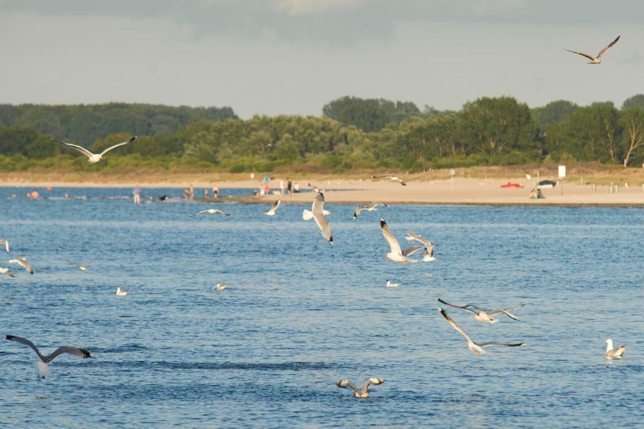 Ferienwohnung Sonnendeck Moba-Travel Priwall Kültér fotó